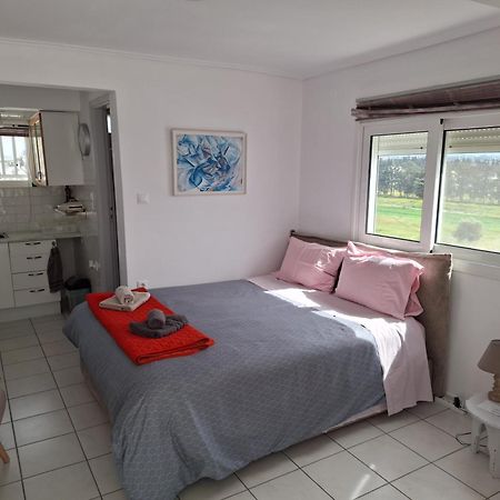 Cute&Quiet Studio Loutraki Exterior photo